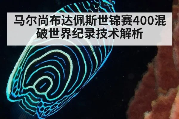 马尔尚布达佩斯世锦赛400混破世界纪录技术解析